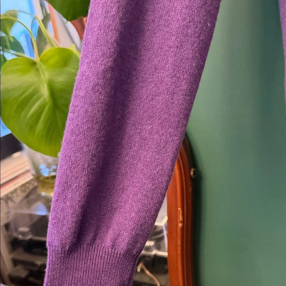 Vintage Polo by Ralph Lauren Mens M 100% Merino Wool Purple V-Neck Sweater